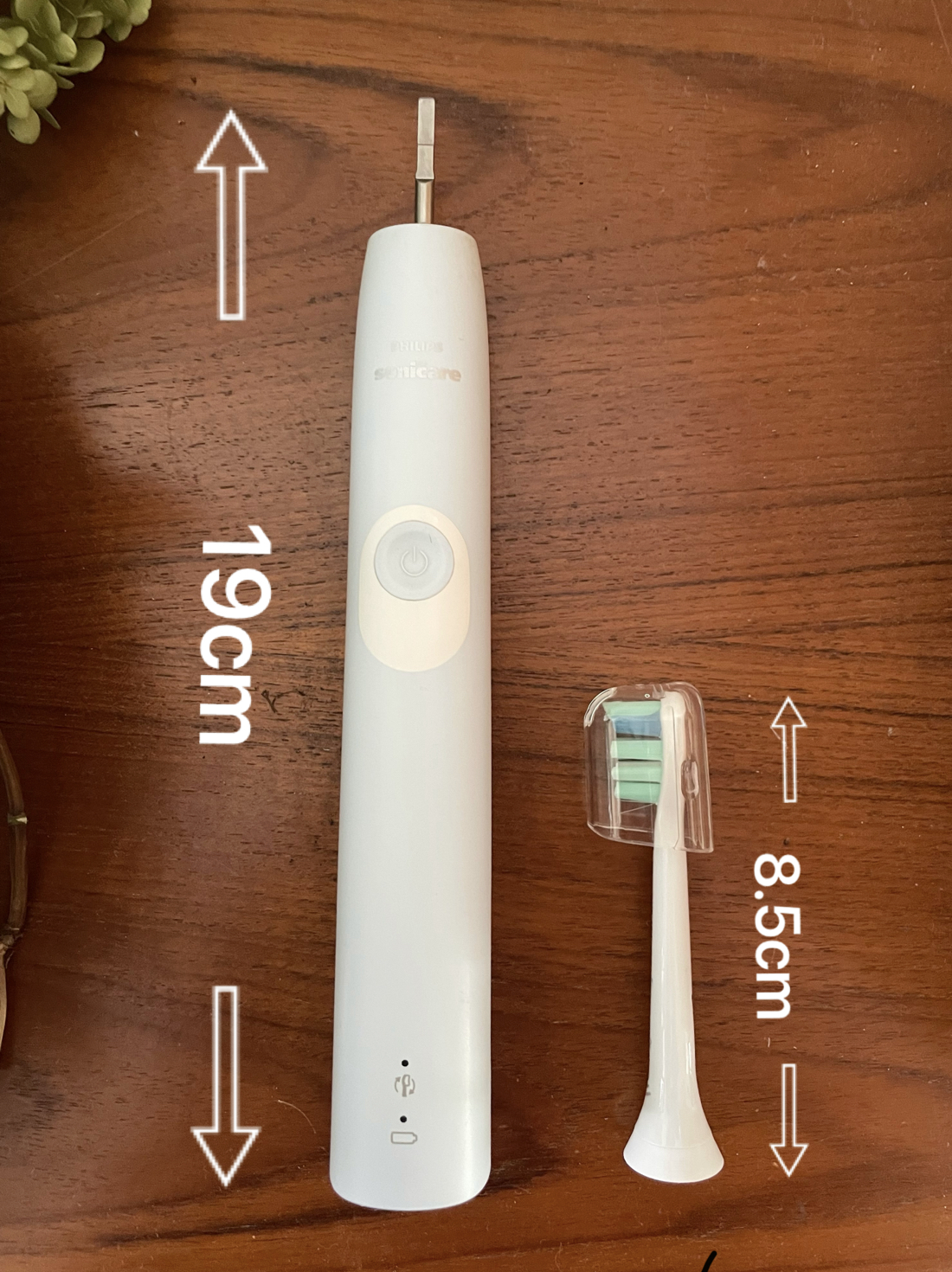 フィリップス 電動歯ブラシ（パステルピンク）PHILIPS sonicare