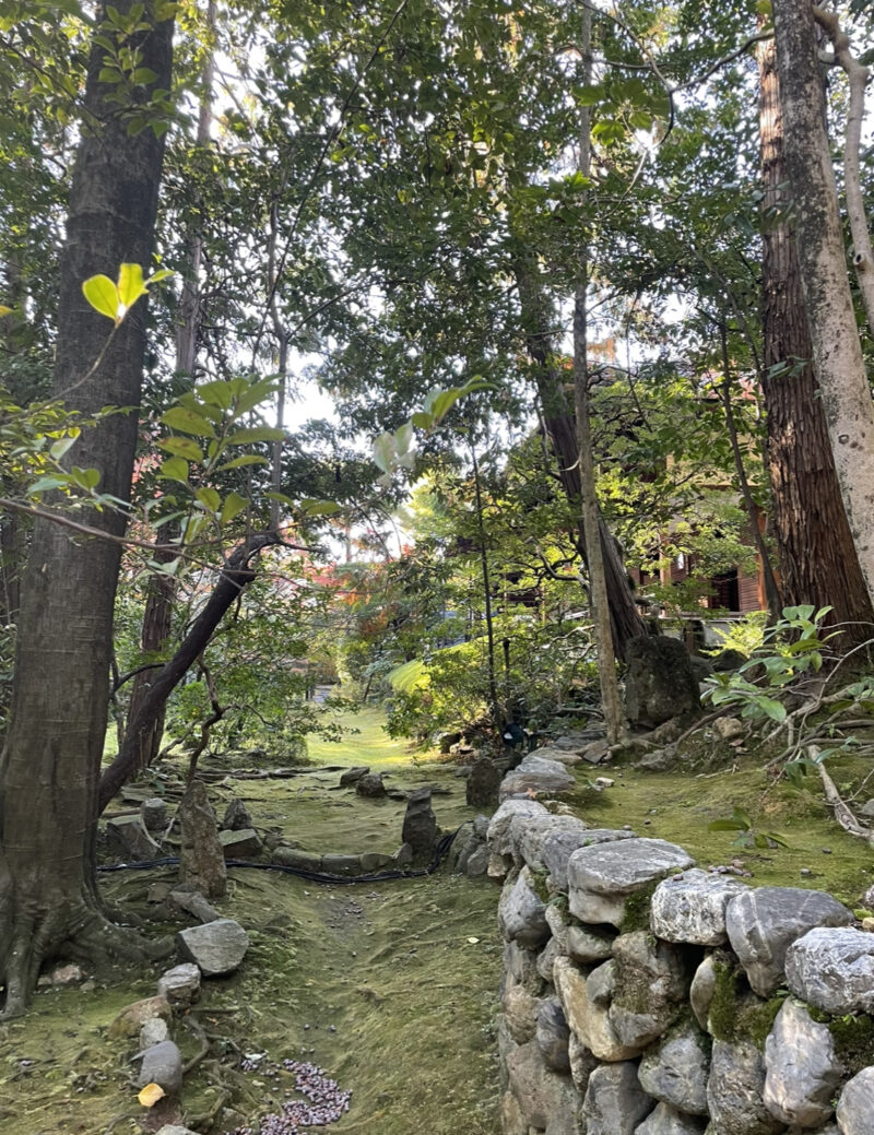 妙心寺桂春院の真如の庭の紅葉の様子