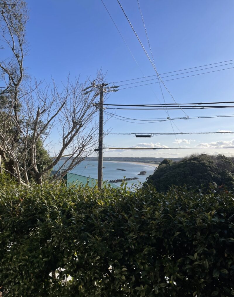 鳥羽にある『森と海』の室内から見える景色